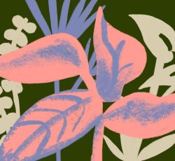 7  plantas que você não vai conseguir matar