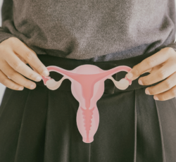 Menopausa sem hormônios