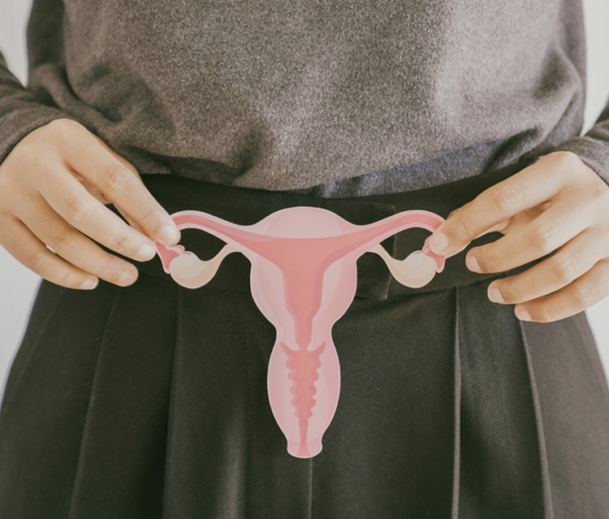 Menopausa sem hormônios