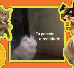 O meme virou idioma e dominar essa linguagem é uma forma de poder