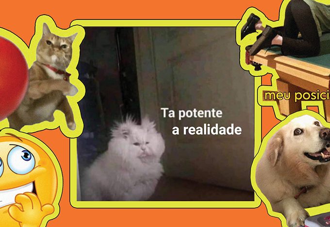O meme virou idioma e dominar essa linguagem é uma forma de poder