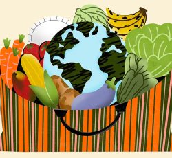 Comer bem é revolucionário (para o seu corpo e para o planeta)